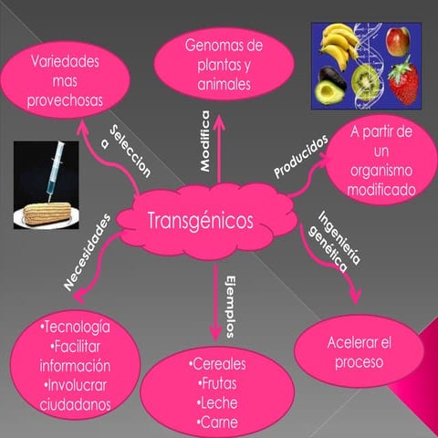 Transgenicos