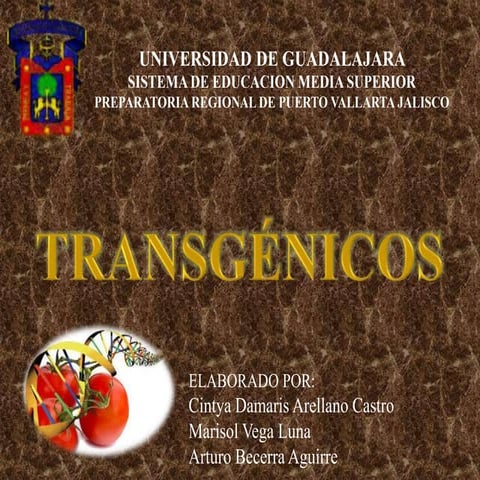 Transgenicos