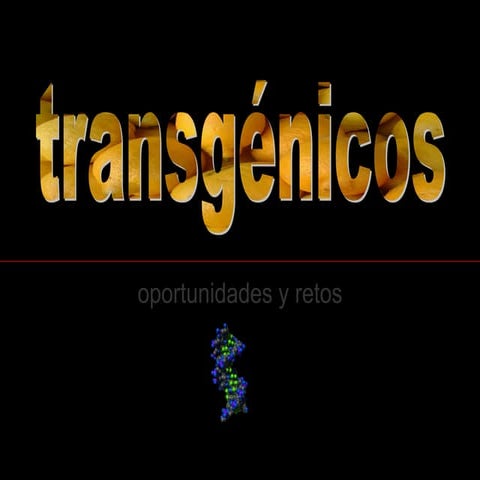 Transgenicos