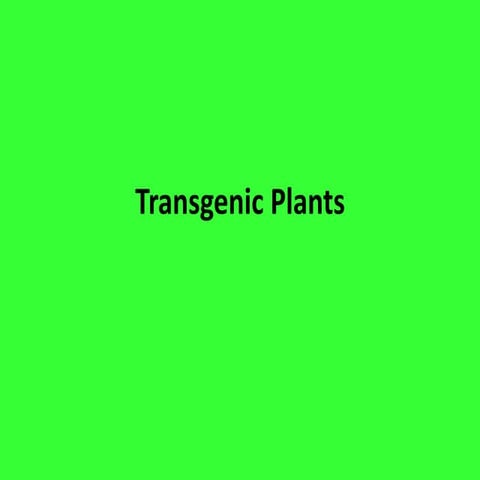 transgenic_plants.ppt