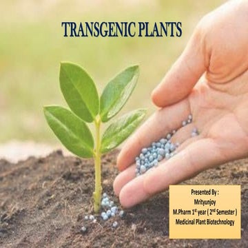 Transgenic plants , biotransformation and transgenesis