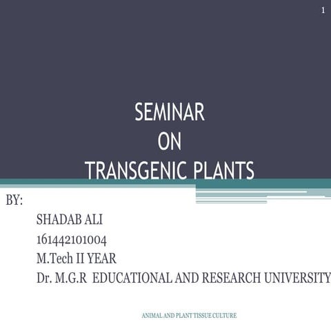 Transgenic plant