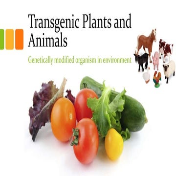 transgenicplantsandanimals-140518135541-phpapp01.pdf