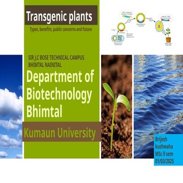 Transgenic plants Types, benefits, public concerns and future.pptx