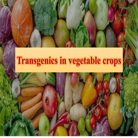 Transgenics in vegetable crops.pptx