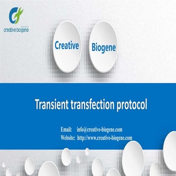 Transient transfection protocol
