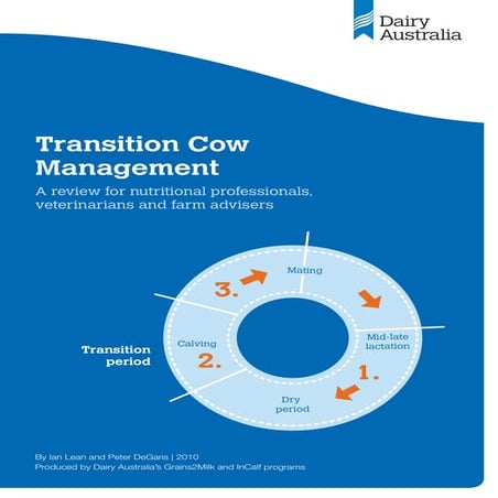 Transition cow