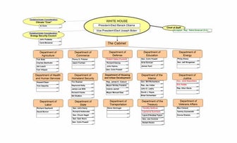 Obama Transition Flowchart 08