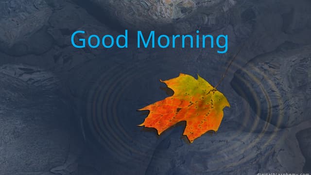 TRANSITIONING                OF PATIENTS.ppt