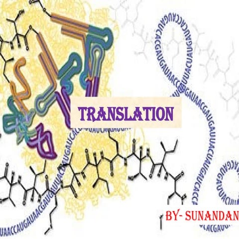 translation- ppt class 12 DAV public School Chandrasekharpur