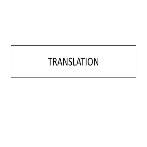 TRANSLATION.pptx