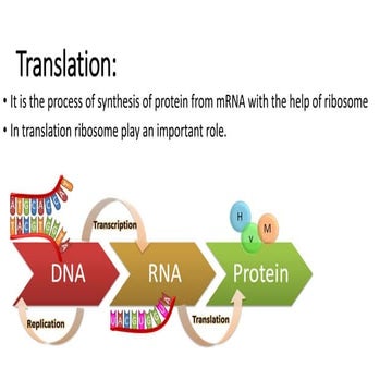 Translation | PPT