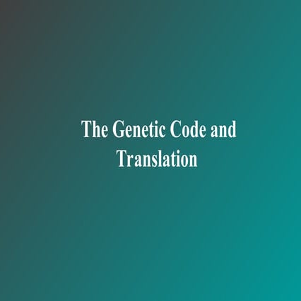 Translation detail mechanism described for students