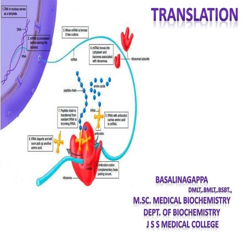 Translation and post translational modifications | PPTX