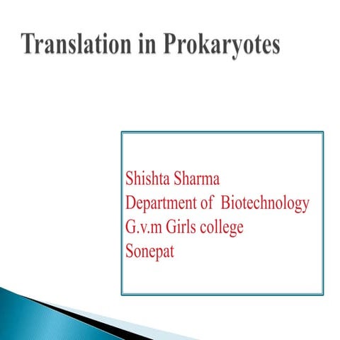 Translation in prokaryotes