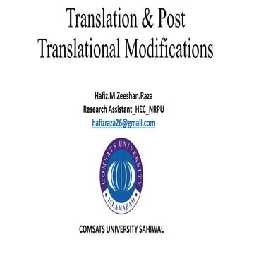 Translation & Post Translational Modifications