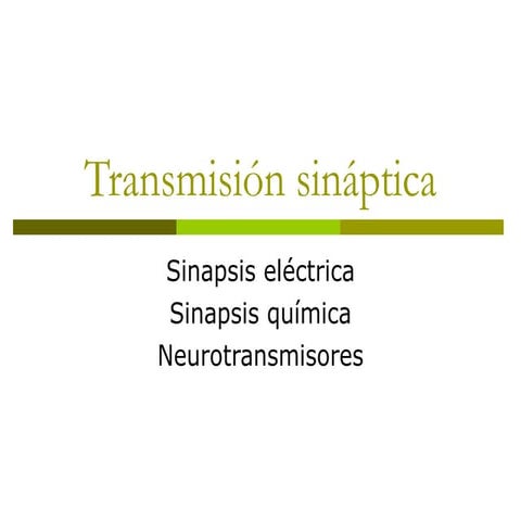 Transmisión sináptica