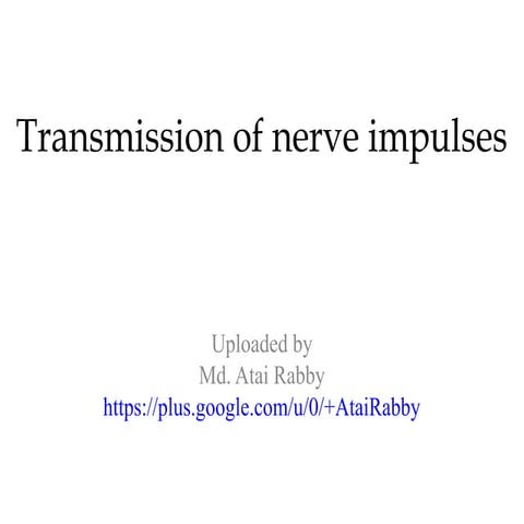 Transmission of nerve impulses
