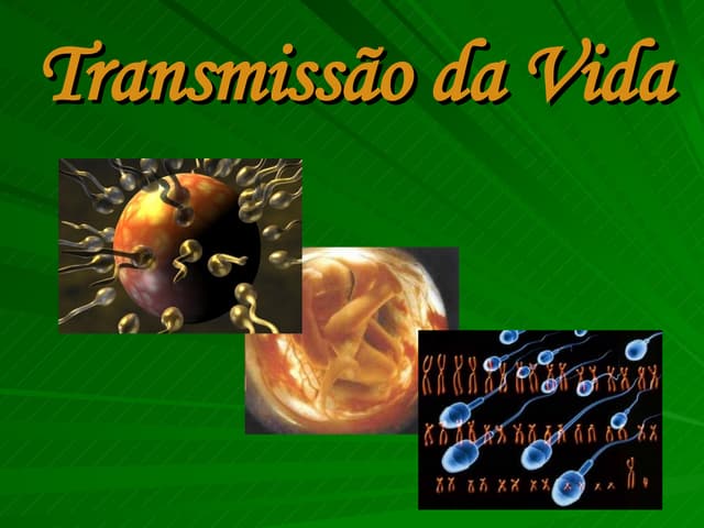 Transmissão da Vida