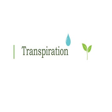 Transpiration 
