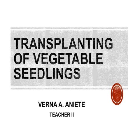 TRANSPLANTING OF VEGETABLE SEEDLINGS.pptx