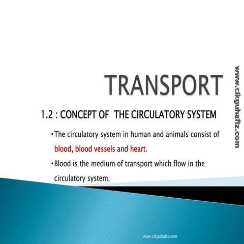 Transportation in human beings | PPTX