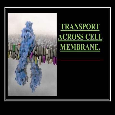 Transport cell membrane