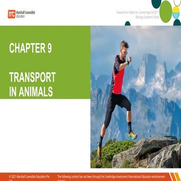 IGCSE Biology Ch Transport in Human.pptx