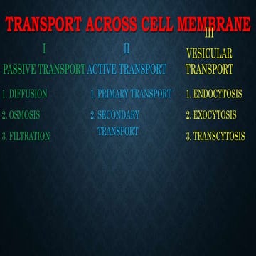 mmmmmmMolecular-Transport-Phenomena.pptx