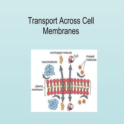 Transport Across Cell Membranes