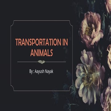 TRANSPORTATION IN ANIMALS.pptx is a detailed animal