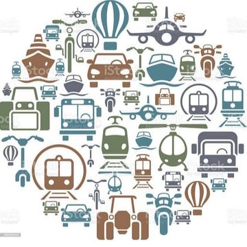 Transportation in animals and plants.pptx