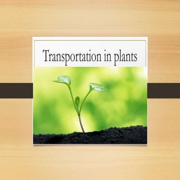 Transportation in plants