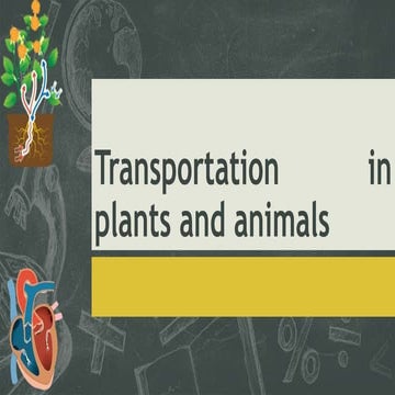 Transportation of materials in plants and animals