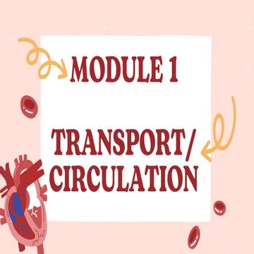 Transport Circulation explainedddddd.pdf