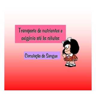 Transporte de Nutrientes e oxigénio...