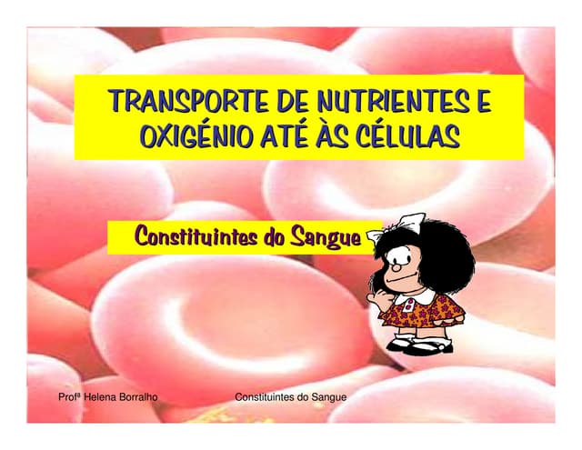 Transporte De Nutrientes E OxigéNio...