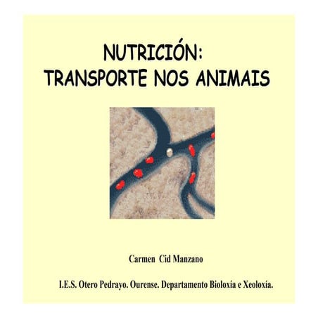 Transporte animais