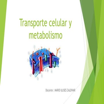 Transporte celular y metabolismo 2 clase