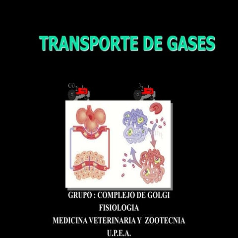 Transporte de gases