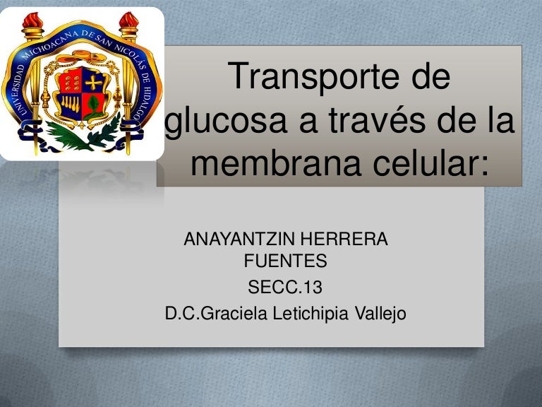 diabetes transportadora de glucosa diabetes transportadora de glucosa