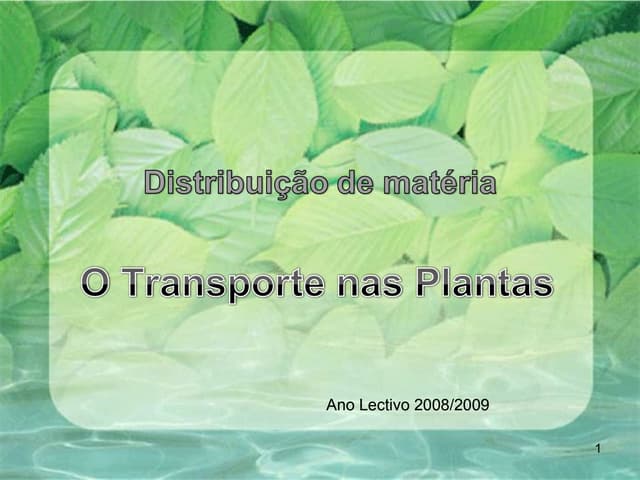 Transporte Nas Plantas