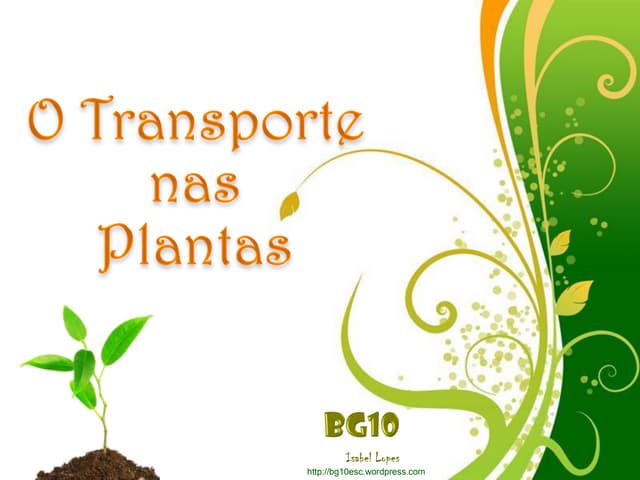 Transporte nas plantas