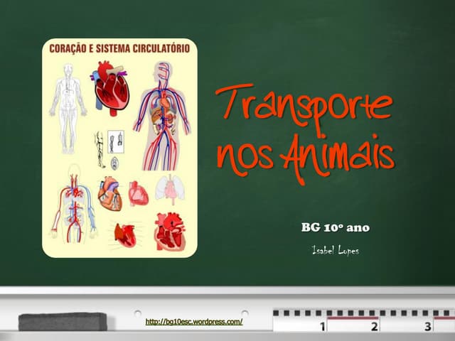 Transporte nos animais