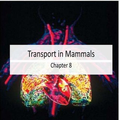 Transport in human as at 290711