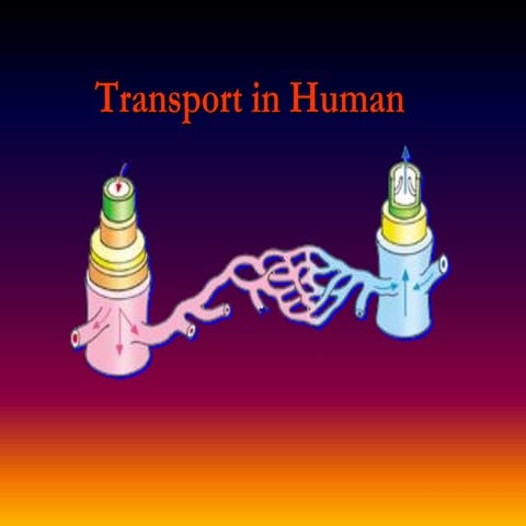 Red blood cells in Blood