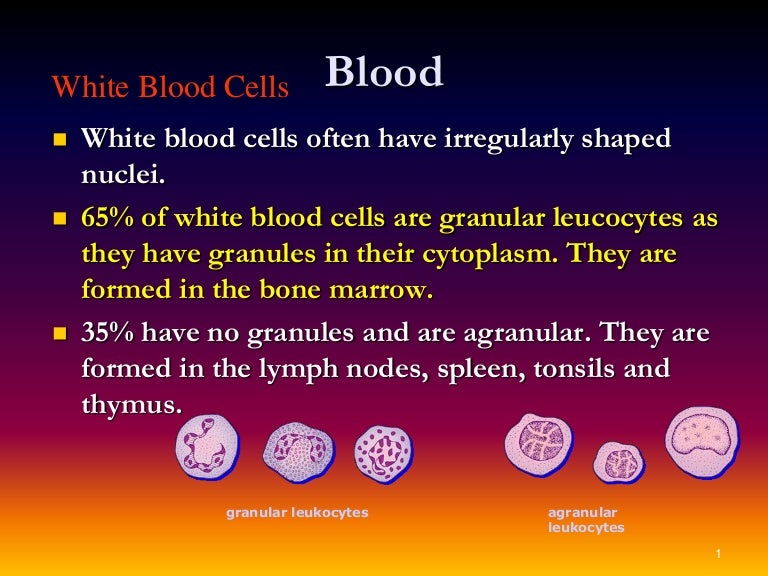 White blood cells in Blood