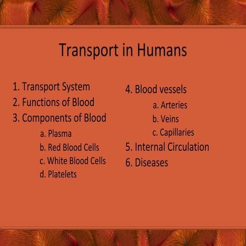 Transport In Humans