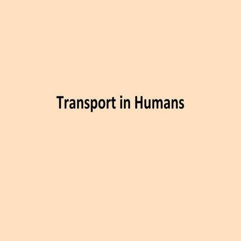 Transport in humans
