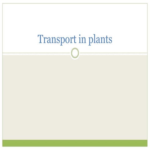 Transport in plants